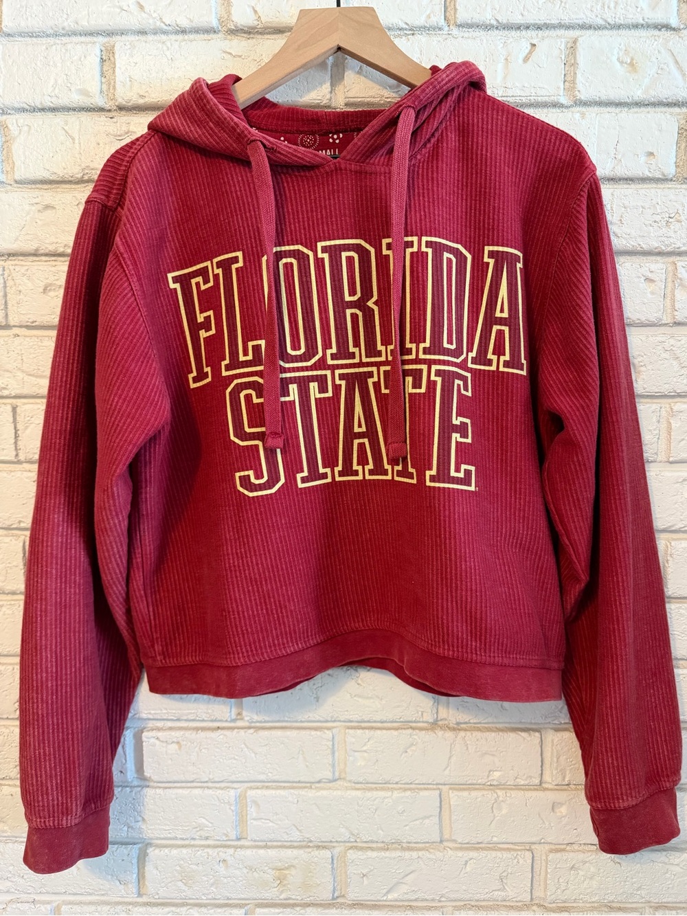Florida State Seminoles FSU Cropped Hoodie